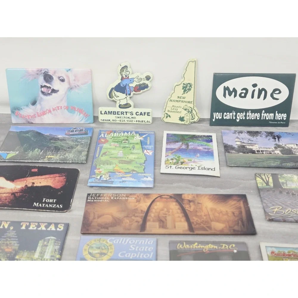 Vintage Refrigerator Magnet Lot of 16 States Souvenirs Tourist Novelty Funny
